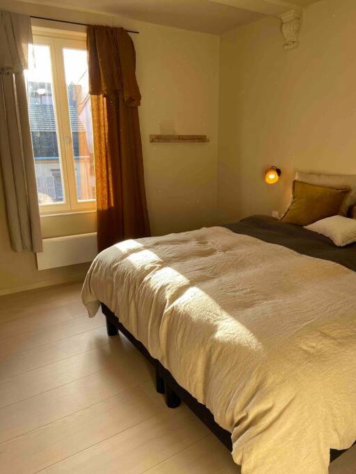 Suites Du Trefle Colmar Dış mekan fotoğraf